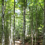 Photo n°11 de l'avis de Stefano.a fait le 01/08/2023 à 14:22 sur le  Rifugio Monte Amiata Marsigliana à Monte Amiata