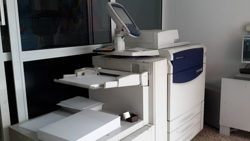 Todas