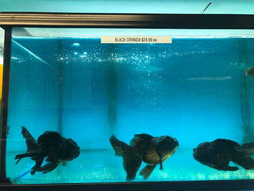 Aquarium Glendale