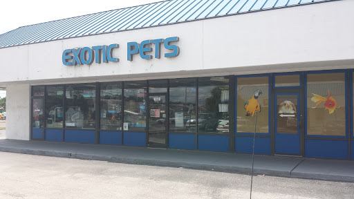 Pet Store «Fosters Exotic Pet Center», reviews and photos, 40116 US Hwy 19 N, Tarpon Springs, FL 34689, USA