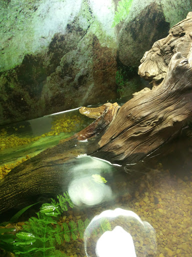 Pet Store «Pet Land», reviews and photos, 1450 Fort Campbell Blvd, Clarksville, TN 37042, USA