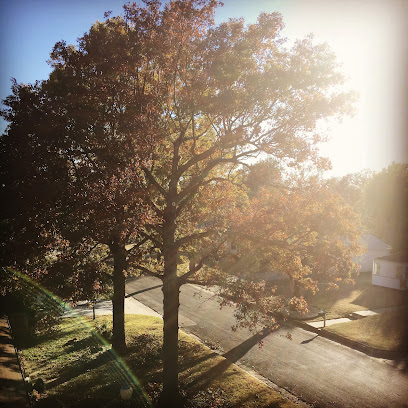 Jennings' Tree Service
