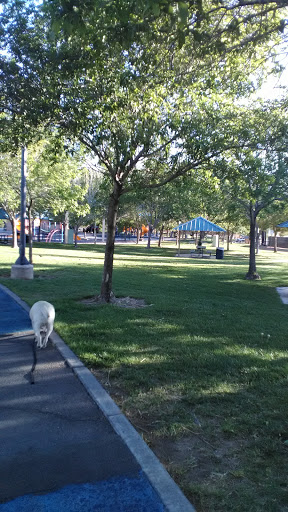 Park «Angel Park», reviews and photos, Angel Park Trail, Las Vegas, NV 89145, USA