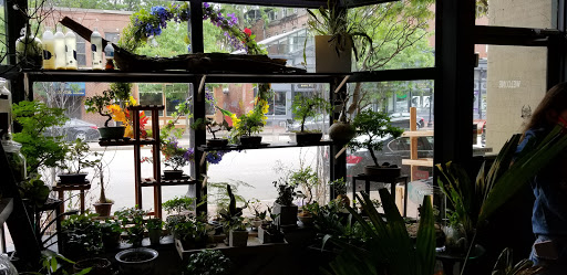 Flower Designer «Bloom Couture Floral Studio», reviews and photos, 769 Tremont St, Boston, MA 02118, USA