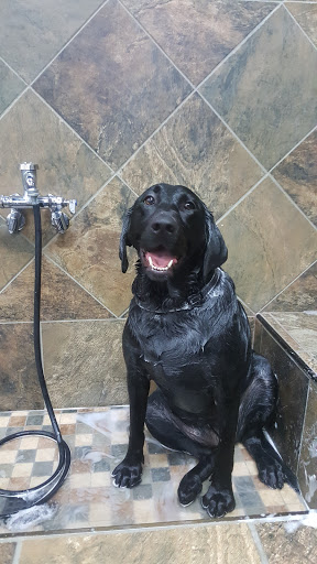 Pet Store «Pet Valu», reviews and photos, 2290 Central Park Ave, Yonkers, NY 10701, USA