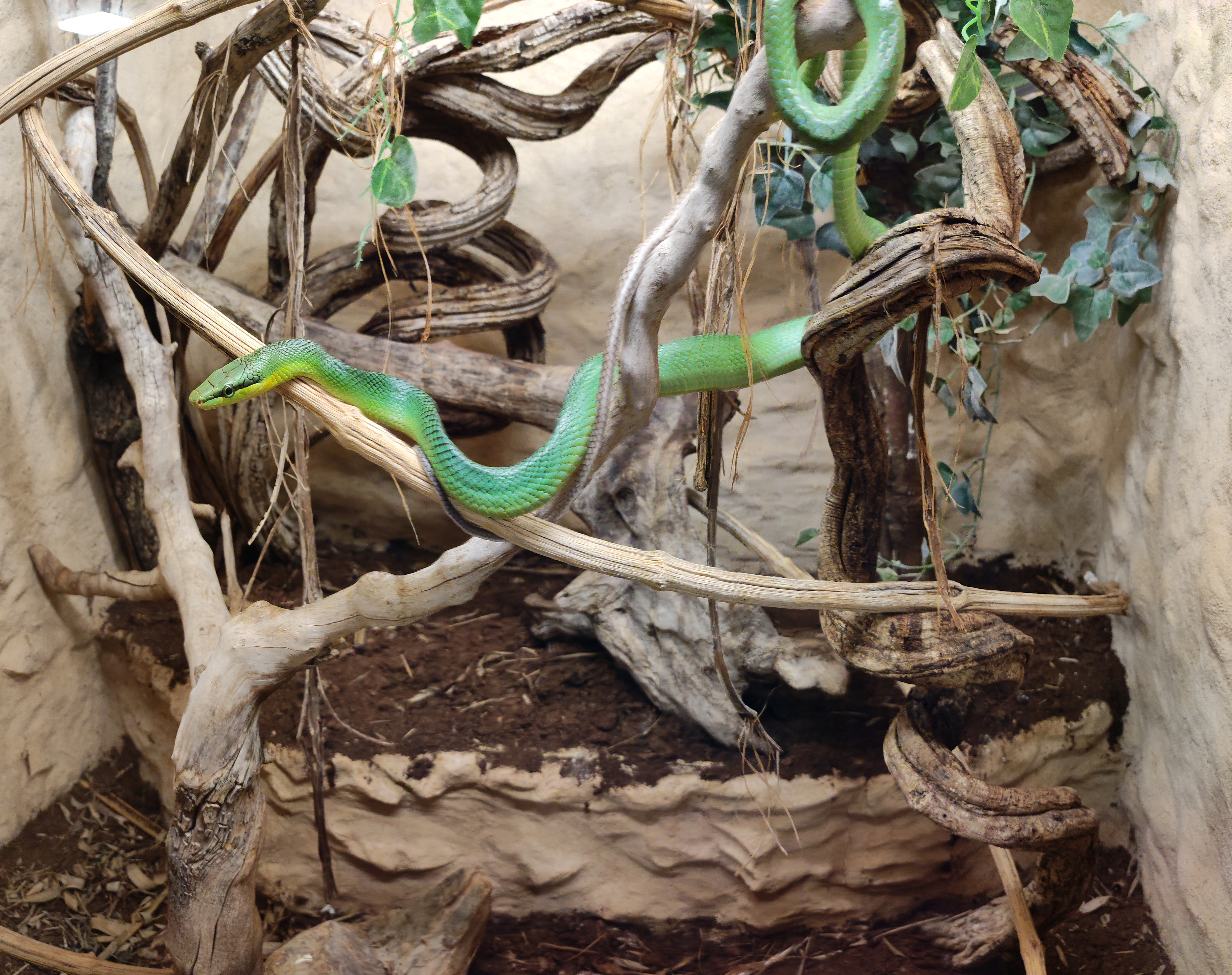 Photo n° 9 de l'avis de Kévin.u fait le 27/02/2023 à 19:47