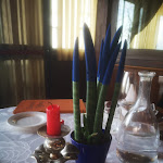 Photo n°5 de l'avis de Gianfranco.a fait le 20/02/2022 à 07:44 sur le  Braceria Tiffany à Macerata