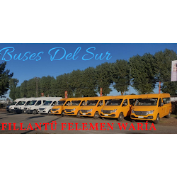 Buses Del Sur