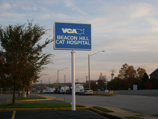 VCA Beacon Hill Cat Hospital