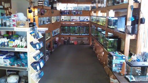Tropical Fish Store «J P Success, Inc.», reviews and photos, 222 S Memorial Dr, Lancaster, OH 43130, USA