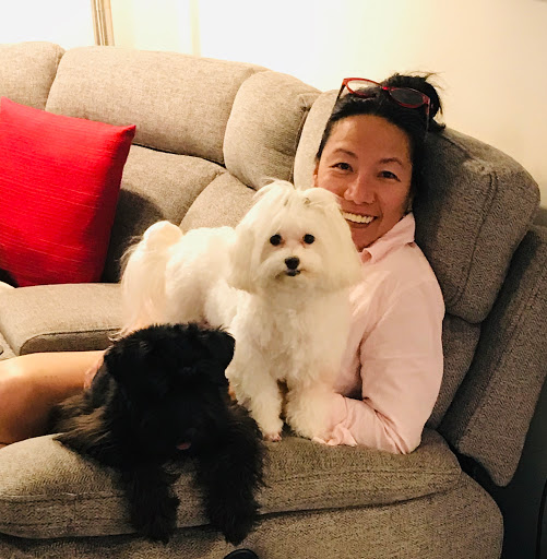 Pet Supply Store «Woof Gang Bakery & Grooming Abacoa», reviews and photos, 5440 Military Trail #7, Jupiter, FL 33458, USA