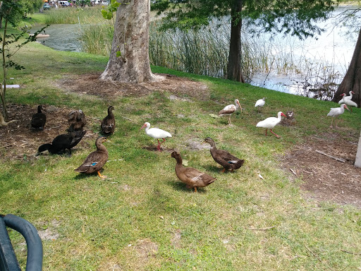Park «Lake Lily Park», reviews and photos, 900 S Orlando Ave, Maitland, FL 32751, USA