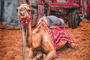 Camel Safari Bikaner image