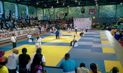 Gimnasio de Judo Negro Primero - 3PJ4+VVP, Avenida Negro Primero, Barquisimeto 3001, Lara, Venezuela