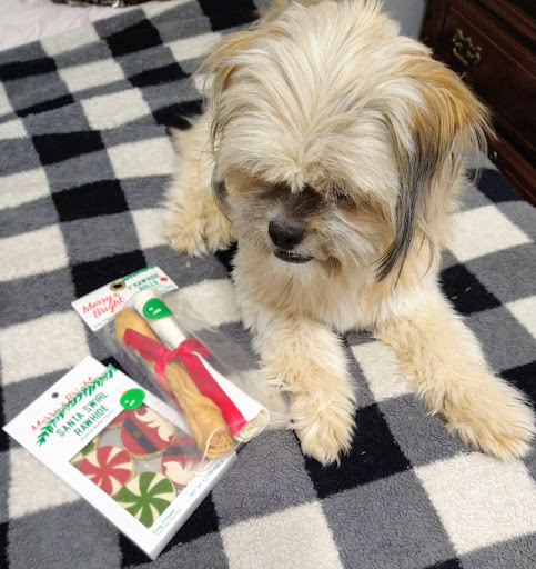 Pet Supply Store «PetSmart», reviews and photos, 1072 Bullsboro Dr, Newnan, GA 30265, USA