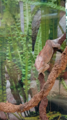 Pet Supply Store «Petco Animal Supplies», reviews and photos, 742 New Los Angeles Ave a, Moorpark, CA 93021, USA