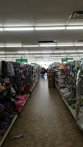 Dollar Store «Dollar Tree», reviews and photos, 7448 Little River Turnpike b, Annandale, VA 22003, USA