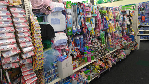 Dollar Store «Dollar Tree», reviews and photos, 8300 W Farm to Market Rd 78, Converse, TX 78109, USA