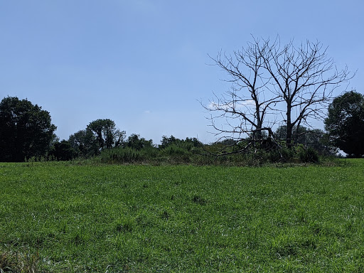 Farm «Mini Mac Farm», reviews and photos, 273 Pleasant Grove Rd, Long Valley, NJ 07853, USA