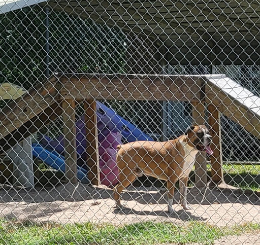 Shady Pines Kennels