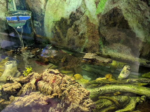 Pet Store «Pet Land», reviews and photos, 1450 Fort Campbell Blvd, Clarksville, TN 37042, USA