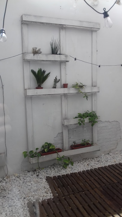 Información y opiniones sobre Laura Cobo de Valencia