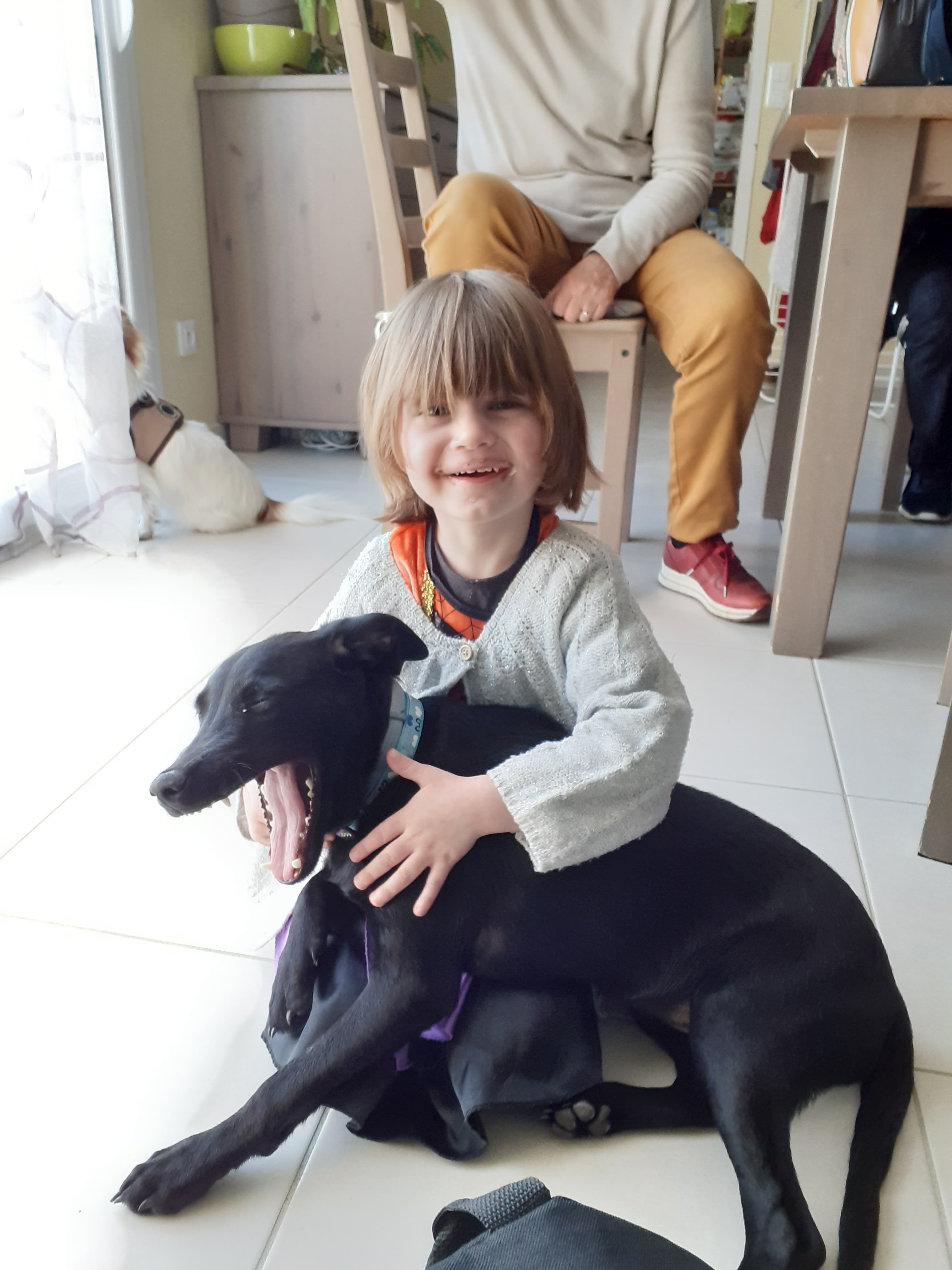 Photo n° 1 de l'avis de Remy.E fait le 23/10/2021 à 18:34