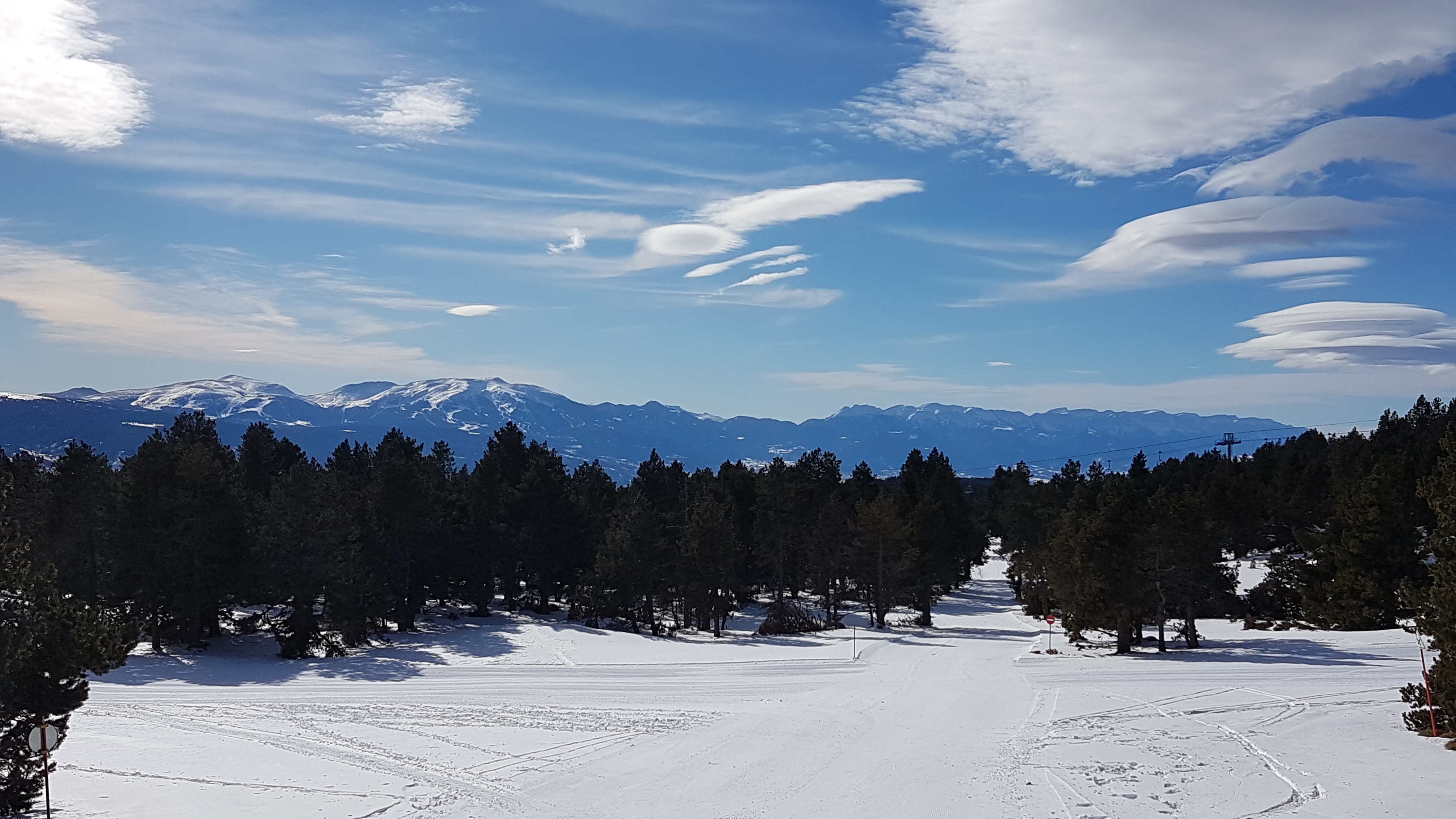 Photo n° 12 de l'avis de Naturéo.p fait le 17/01/2021 à 03:57