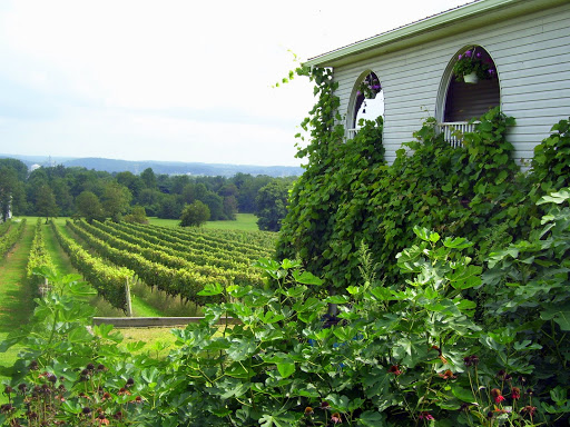 Winery «Fiore Winery», reviews and photos, 3026 Whiteford Rd, Pylesville, MD 21132, USA