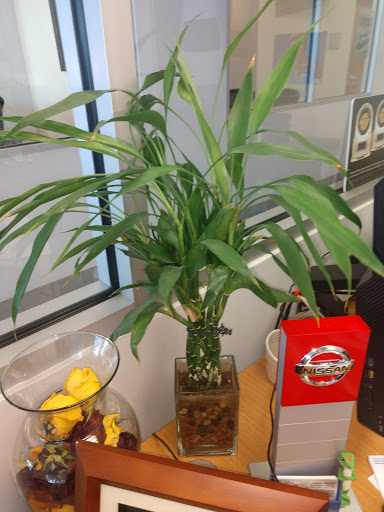 Florist «Enchanted Florist», reviews and photos, 11102 Los Alamitos Blvd, Los Alamitos, CA 90720, USA