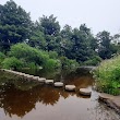 Greenrigg stepping stones