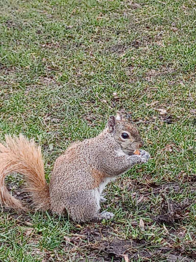 Dog Park «Portage Dog Friendly Area», reviews and photos, 4100 N Long Ave, Chicago, IL 60641, USA