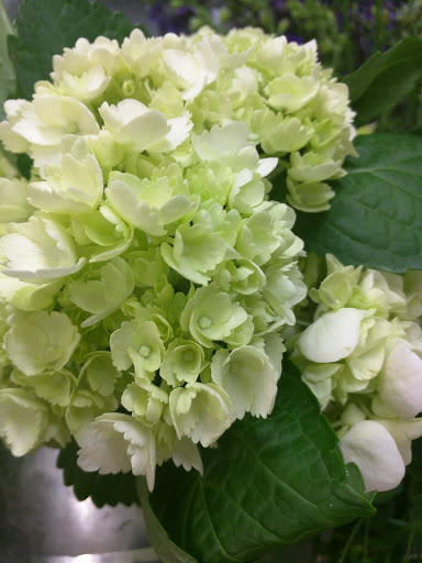 Garden «fleurdetroit (bloomfield hills)», reviews and photos, 1507 S Telegraph Rd, Bloomfield Hills, MI 48302, USA