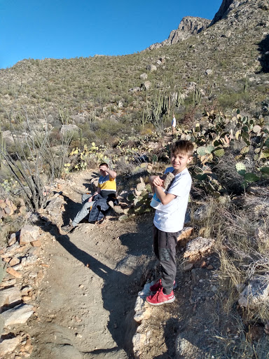 Tourist Attraction «Linda Vista Trail», reviews and photos, 730 E Linda Vista Rd, Oro Valley, AZ 85737, USA