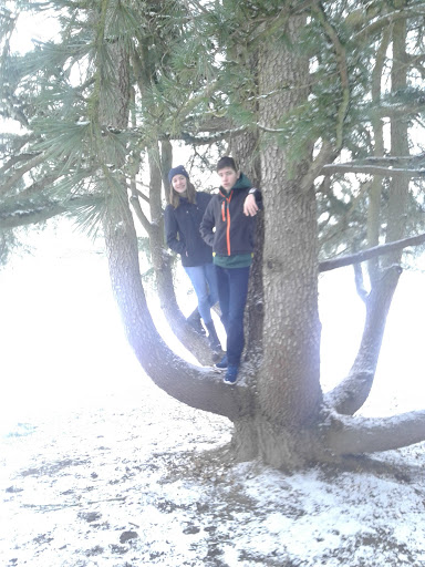 Park «Gabriel Park», reviews and photos, SW 45th Ave & Vermont Street, Portland, OR 97219, USA