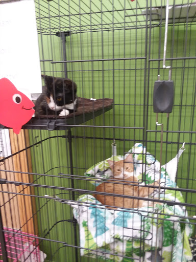 Pet Supply Store «Pet Supplies Plus», reviews and photos, 2180 Dixie Hwy, Fort Mitchell, KY 41017, USA