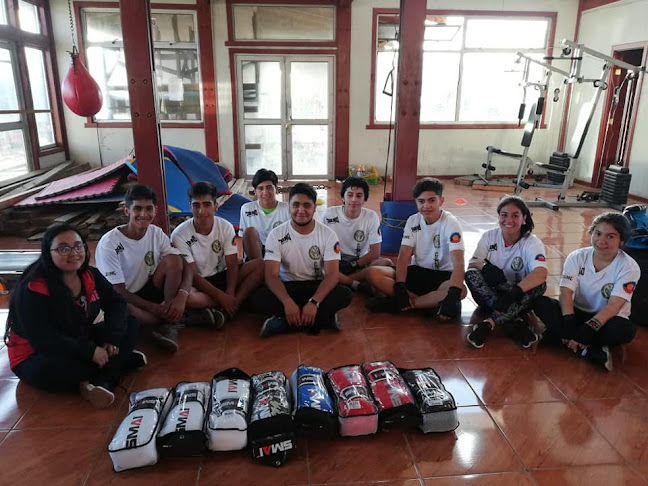 Opiniones de Club de Boxeo Boanegers Carahue en Carahue - Escuela