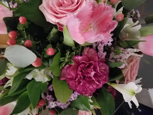 Florist «Ben White Florist», reviews and photos, 3200 S Congress Ave, Austin, TX 78704, USA