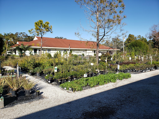 Plant Nursery «Wilcox Nursery», reviews and photos, 12501 Indian Rocks Rd, Largo, FL 33774, USA