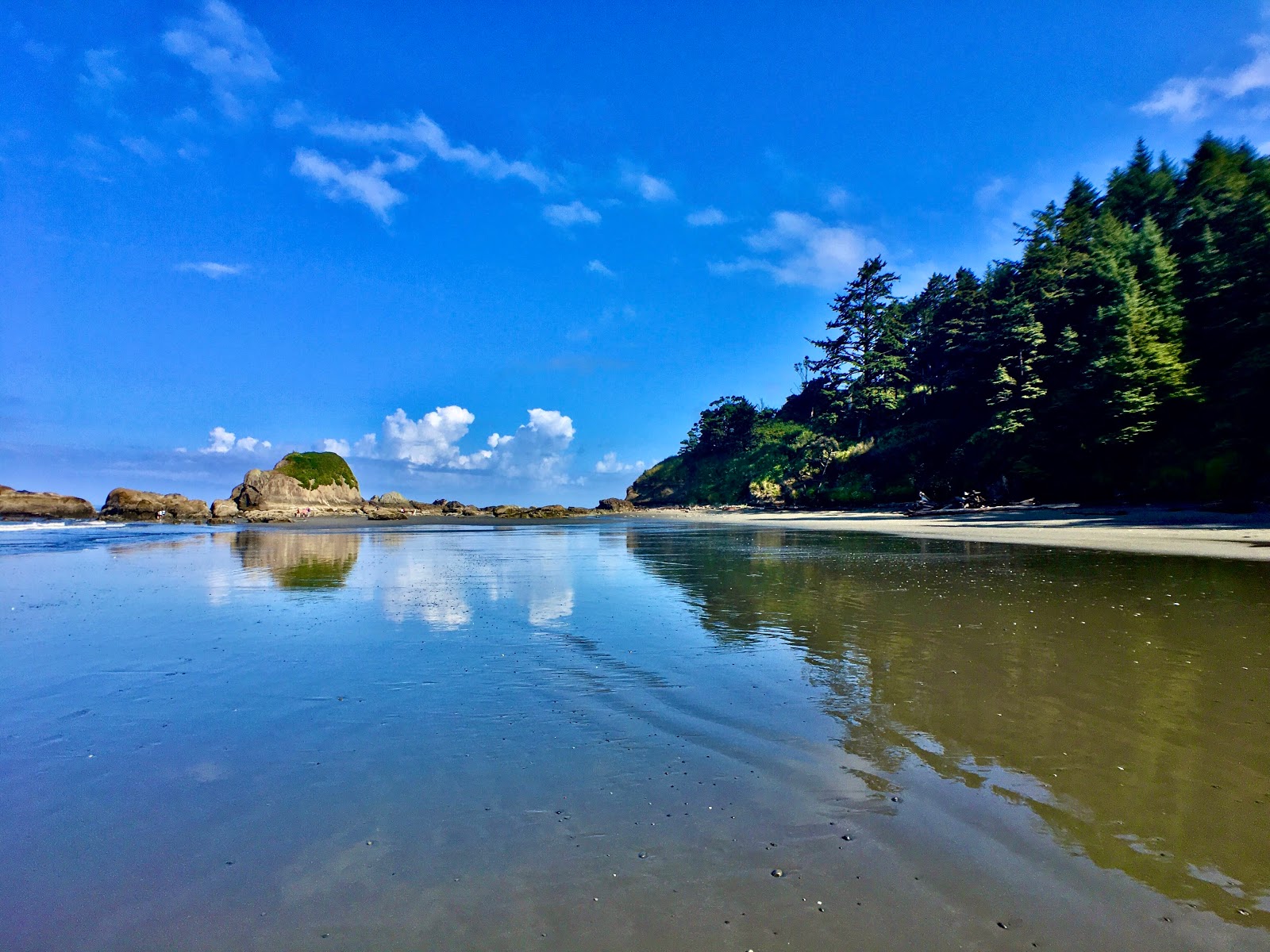 Kalaloch Beach II的照片 带有碧绿色纯水表面