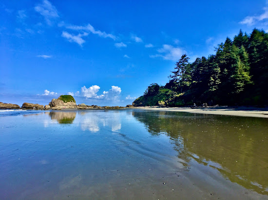 Kalaloch Beach II