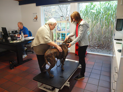 Saedding Animal Clinic - Veterinarians in Esbjerg / Jan Iversen in Esbjerg Municipality, Esbjerg