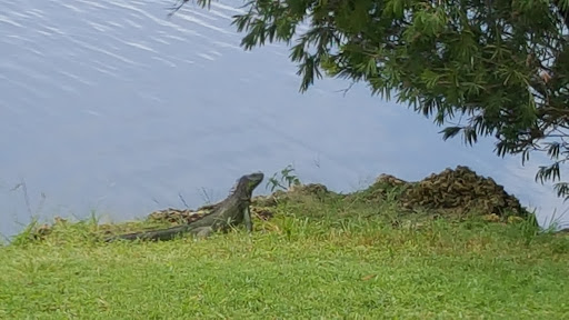 Country Club «Miccosukee Golf & Country Club», reviews and photos, 6401 Kendale Lakes Dr, Miami, FL 33183, USA