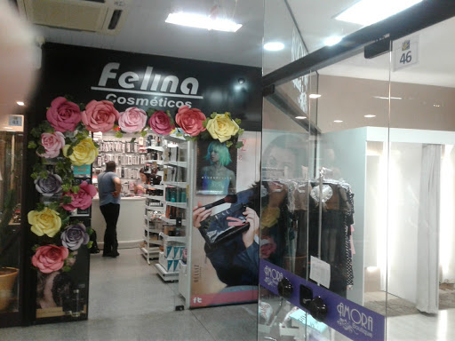 Logo da empresa - Felina Cosméticos