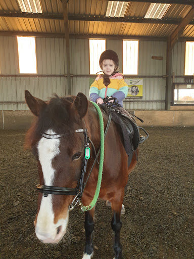 Horse riding lessons Oldham