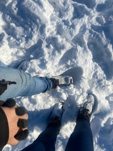 Park «Raymond Park», reviews and photos, Raymond St, Cambridge, MA 02140, USA