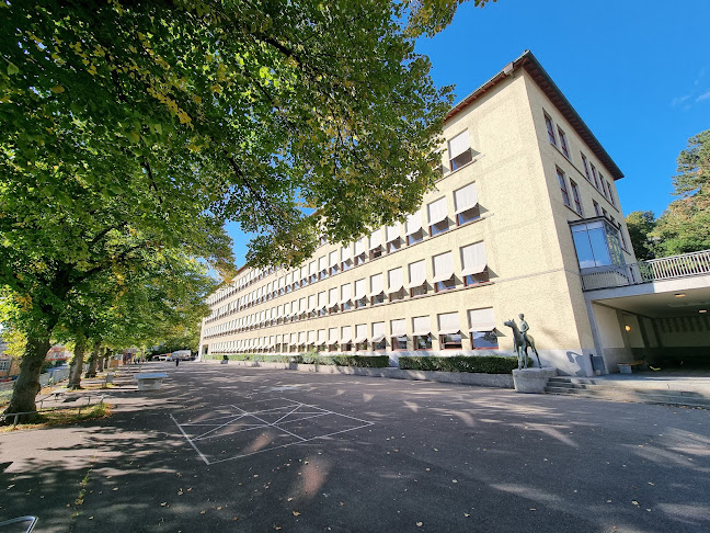 Rezensionen über Schulhaus Waidhalde in Zürich - Schule