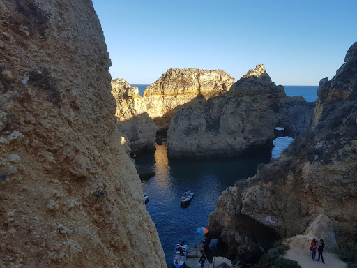 Campolar Servicios Veterinarios en Reliegos