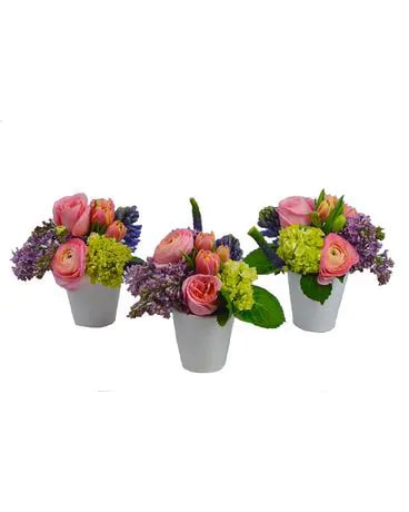 Florist «Stamford Florist», reviews and photos, 625 Bedford St, Stamford, CT 06901, USA