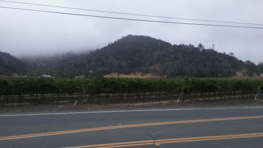 Winery «Lava Vine», reviews and photos, 965 Silverado Trail N, Calistoga, CA 94515, USA